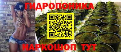 прущие крисы Кинель