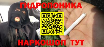 хмурый Кимры