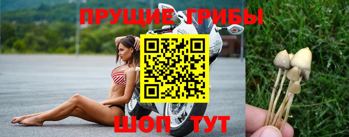 Галлюциногенные грибы мицелий Котовск
